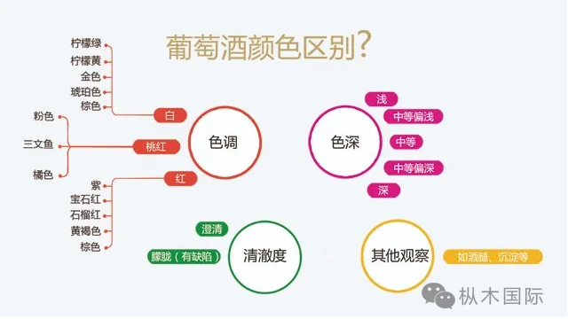 如何观葡萄酒颜色？.jpg