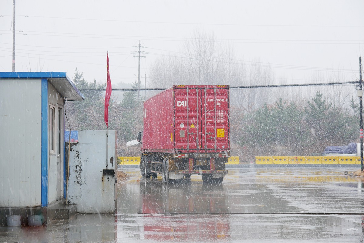 枞木国际智利新品—金日踏雪而来！